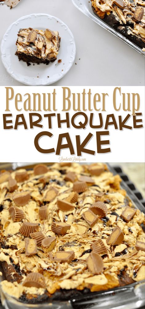 Earthquake Cake Recipe, Earthquake Cake Recipes, Earthquake Cake, Devils Food Cake Mix Recipe, Cake Cup, Popular Candy, Peanut Recipes, Peanut Butter Desserts, Peanut Butter Frosting