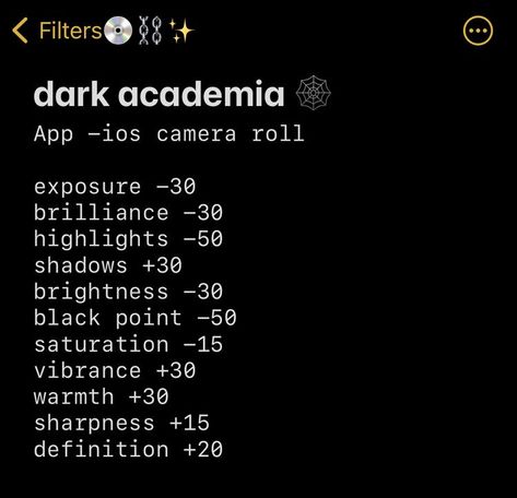 Dark Academia Filter Iphone, Dark Academia Photo Editing, Iphone Photo Edit Settings Dark, Dark Filter Camera Roll, Iphone Camera Roll Filters, Dark Academia Edit, Low Exposure Filter, Iphone Camera Filters, Dark Academia Filter