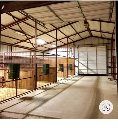 Open Horse Stalls, How To Build Horse Stalls, Horse House Ideas, Shop With Horse Stalls, Easy Horse Stalls Diy, Simple Horse Stalls, Horse Grooming Stall, Horse Training Facility, Horse Barn Stalls Ideas