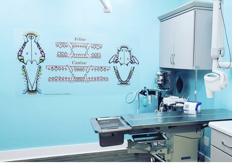 Veterinary Surgery Room Design, Veterinary Exam Room Design, Veterinary Practice Design, Veterinary Clinic Decor, Vet Clinic Layout, Veterinary Organization Ideas, Veterinary Exam Room Ideas, Euthanasia Room Vet Clinic, Vet Clinic Organization