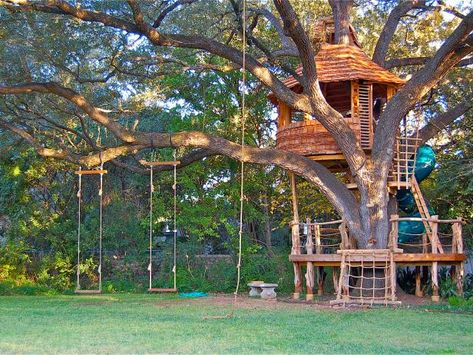 Kids Zipline, Tree House Playground, Backyard Treehouse, Beautiful Tree Houses, Tree House Plans, Tree Fort, Tree House Diy, Tree House Kids, Cool Tree Houses