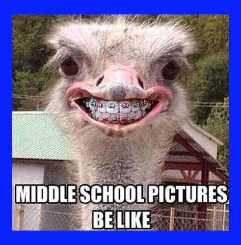 Middle School Meme Dump - Imgur Middle School Funny, Middle School Memes, Preteen Clothing, Meme Page, School Jokes, Teen Humor, Funny School Jokes, Steve Austin, School Memes