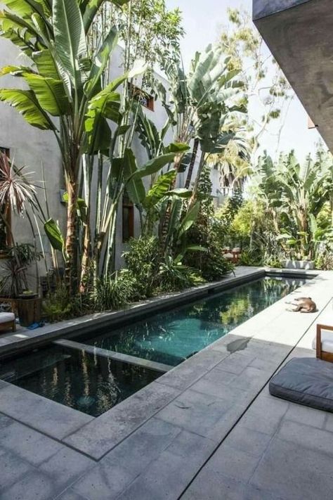 Transform Your Backyard into a Paradise with these Incredible Narrow Pool, Outdoor Nook, Pool Design Modern, Luxurious Backyard, Kleiner Pool Design, Inground Pool Designs, Moderne Pools, Tropical Outdoor, Small Yards