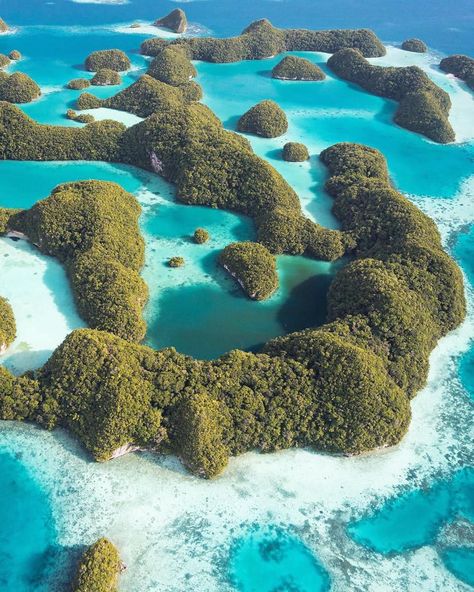 Coral Reefs, Palau Aesthetic, Palau Island, Paradise Places, Get Paid To Travel, Paid To Travel, Island Destinations, Napoleon Hill, Destination Voyage