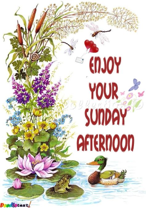 Good Afternoon Sunday, Friday Inspirational Quotes, Sunday Greetings, Morning Quotes For Friends, Good Afternoon Quotes, Sunday Images, Enjoy Your Sunday, Afternoon Quotes, Hello Sunday