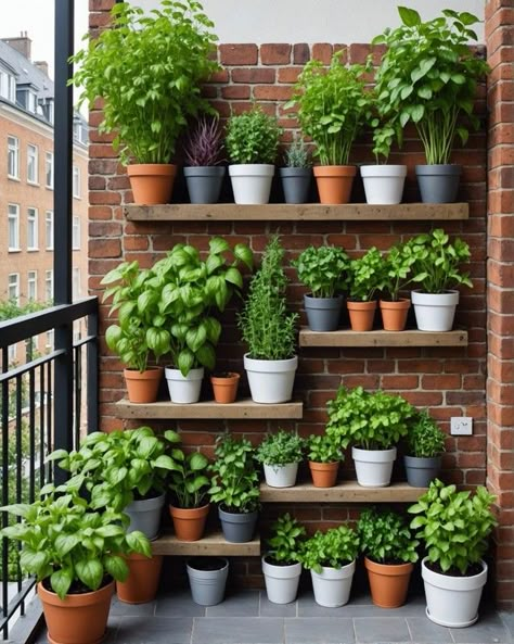 Balcon Garden Ideas, Living Plant Walls Outdoor, Small Planters Outdoor, Small Outdoor Planter Ideas, Balcony Planters Ideas, Flower Pot Outdoor Ideas, Balcony Garden Vegetable, Plants In Pots Outdoor Backyard Ideas, Patio Garden Ideas Apartment