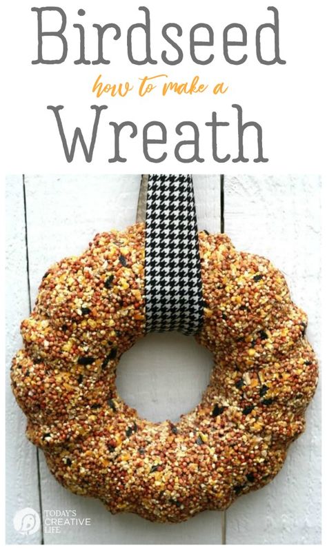 Birdseed Wreath Homemade Bird Food, Bird Seed Wreath, Birdseed Wreath, Kids Gardening Projects, Birds Diy, Bird Suet, Do It Yourself Decoration, Feed The Birds, Bird Seed Ornaments