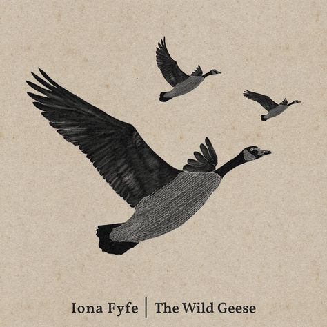 Goose Tattoo, Wild Geese, North Country, Dundee, Flora And Fauna, Beautiful Songs, The Wild