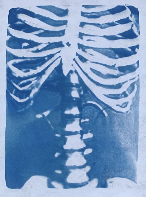 Cyanotype. Cyanotype process. Cyanotype clothing. Cyanotype art. Cyanotype shirt. Cyanotype idea. Cyanotype photography. Cyanotype fabric. Cyanotype aesthetic. 
Spooky Halloween and autumn Cyanotype print of a skeleton on paper. Sun Print Fabric, Cyanotype On Canvas, Cyanotype On Jeans, Cyanotype Art Ideas, Cyanotype Aesthetic, Blue Skeleton Aesthetic, Sunprint Shirt, Cyanotype On Fabric, Cynotype Clothes