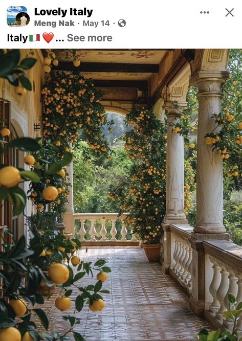 Italy House Italian Villa, Italian Villa Aesthetic, Italian Villa House, Italian Countryside Aesthetic, Italian Home Aesthetic, Small Italian Villa, Tuscany Aesthetic, Vineyard House, Landscaping Around House