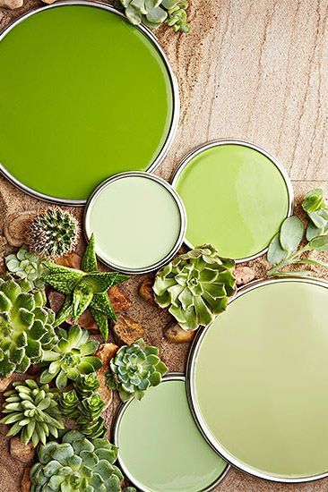 Browse our favorite green paint colors and find decorating inspiration and color scheme ideas for your rooms, whether you crave the soft sweetness of mint or the zingy tart of lime. #bhgpaintpalettes #paintcolors #greenpaintideas #colorschemes #bhg Top Green Paint Colors, Lime Green Paint Color, Blue Green Paints, Succulent Wall Art, Old Picture Frames, Paint Color Schemes, Wallpaper Green, Green Paint Colors, Flowers Color