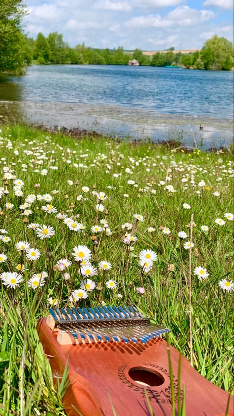 Kalimba en plein milieu d’herbe abec de petites fleurs au bord d’un lac Kalimba Aesthetic, Music In Nature, Liquid Architecture, Vision Board Party, Victorian Aesthetic, Guitar Pics, Nature Music, Vision Board Manifestation, Call Of The Wild