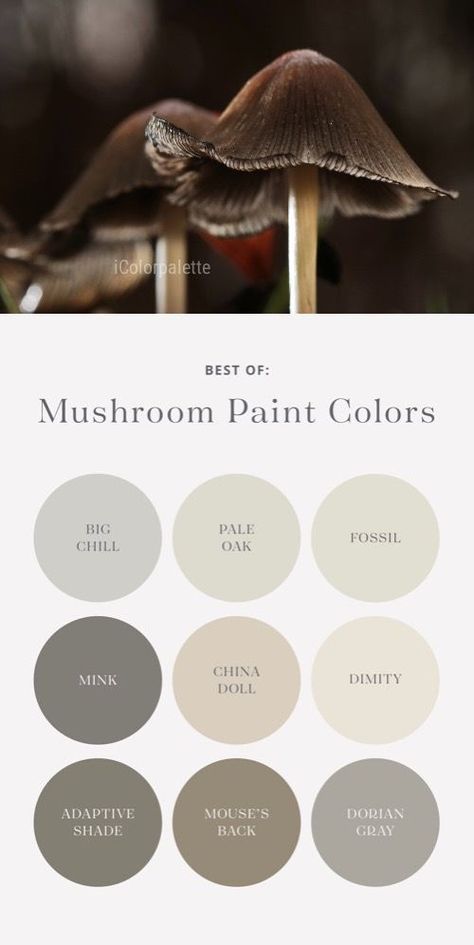 Mushroom paint color palette. White Interior Paint Colors, Mushroom Color Paint, Mushroom Paint Color, Neutral Kitchen Colors, White Interior Paint, Color Palette Living Room, Mushroom Paint, Shingle Colors, House Color Palettes