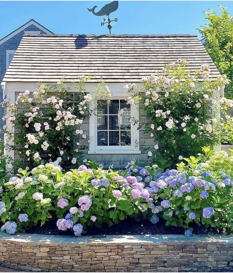 Hydrangea Garden, Have Inspiration, Garden Cottage, English Garden, Front Garden, Small Garden, Dream Garden, Yard Landscaping, Garden Planning