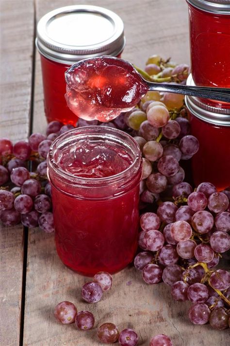 Easy Recipes for Muscadine Jelly That'll Get You Drooling Red Grape Jelly Recipe, Muscadine Jelly Recipe With Sure Jell, Muscadine Pepper Jelly Recipe, Easy Muscadine Jelly Recipe, Scuppernong Jelly, Muscadine Recipes, Muscadine Recipe, Easy Squash Recipes, Canning Jelly