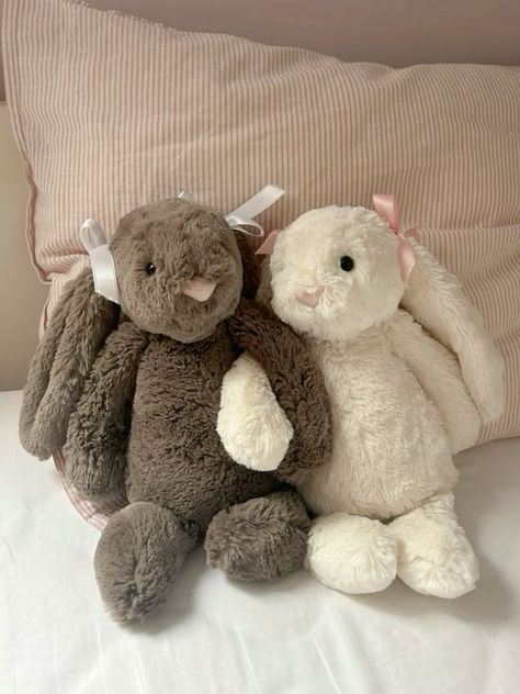 Stuffed Toy Aesthetic, Bunny Stuff Toy, Cute Stuffed Animals Aesthetic, Stuffed Animals Aesthetic, Plushie Aesthetic, Animal Based Diet, Jellycat Bunny, Jellycat Stuffed Animals, Animal Based