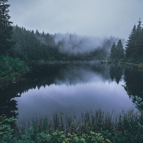 Nature, Water Forest Aesthetic, Forest Lake Aesthetic Dark, Lake In Forest Aesthetic, Deep Forest Wedding, Dark Lake Aesthetic, Pine Forest Aesthetic, Lake In Woods, Forest Lake Aesthetic