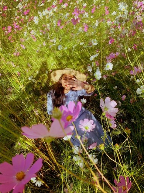 Floral photoshoot in cosmos #aesthetic Field Photoshoot Aesthetic, Cosmos Aesthetic, Cosmo Photoshoot, Floral Photoshoot, Female Photography, Dreamy Aesthetic, Flower Photoshoot, Cosmos Flowers, Mood Board Inspiration