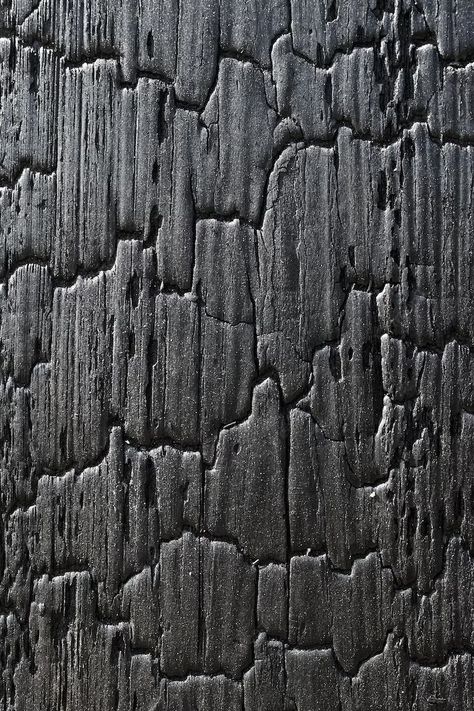 Premium Photo | Burnt wooden texture sho sugi ban yakisugi is a traditional japanese method of wood preservation Yakisugi Furniture, Japanese Burnt Wood, Burnt Wood Finish, Burnt Wood, Sugi Ban, Wooden Texture, Wood Texture, Traditional Japanese, Vector Photo