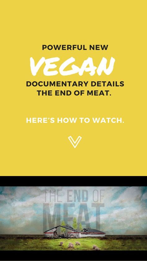 Powerful New Vegan Documentary Details the End of Meat. Here’s How to Watch. Vegan Gluten Free Banana Bread, Vegan Documentaries, Jim Morrison Movie, Vegan Ideas, Gluten Free Banana Bread, Why Vegan, Vegan Quotes, Vegan Inspiration, Gluten Free Banana