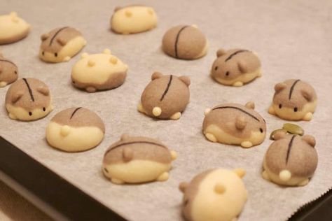 Bunny Desserts, Japanese Bakery, Japanese Cookies, Kawaii Cooking, Cute Baking, Japanese Dessert, Kawaii Food, Cute Cookies, Cute Desserts