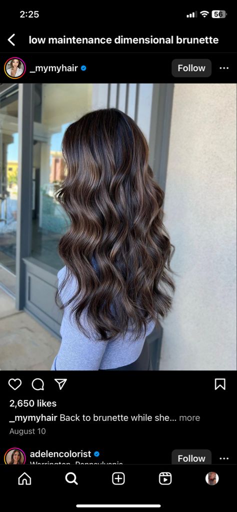 Lowlights On Brunette Hair, Spring Hair Ideas For Brunettes, Low Maintenance Dimensional Brunette, Spring Hair For Brunettes, Low Maintenance Highlights Brunettes, Brunette 2024, Spring Hair Color Ideas For Brunettes, Low Maintenance Brunette Hair Color, Subtle Dimensional Brunette