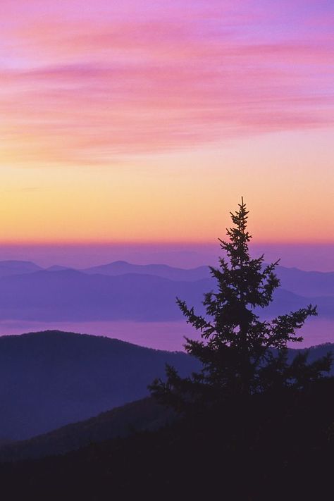 Smoky Mountains North Carolina, Mountains North Carolina, Clingmans Dome, Reference Photos For Artists, Mountain Pictures, Eye Photography, Great Smoky Mountains National Park, Sun Sets, Smoky Mountain