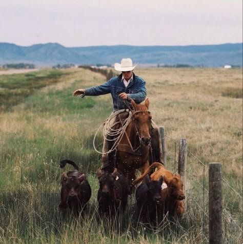 Discipline Inspiration, Longest Ride, Montana Ranch, Cattle Ranch, Cattle Drive, Real Cowboys, Cowboy Aesthetic, Western Photography, Into The West