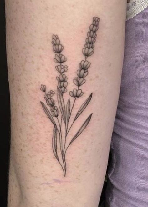 Custom lavender tattoo done by @ipektattoo of @fleurnoiretattoo in Brooklyn.    #fleurnoiretattoo #tattoo #lavender #lavendartattoo #delicatetattoo #abstracttattoo #detailedtattoo #inspiration #inspirationtattoo #nyc #nyctattoo #newyorkcity #linetattoo #brooklyn #williamsburg #bushwick #madeinbrooklyn #nyctattoo #williamsburgtattoo #brooklyntattoo #minimal #minimalism #minimaltattoo Black Lavender Tattoo, Lavender Spine Tattoo, Lavender Plant Drawing, Lavender Plant Tattoo, Lavender Tattoo Black, Lavender Tattoo Design, Tattoo Lavender, Brooklyn Williamsburg, Brooklyn Tattoo