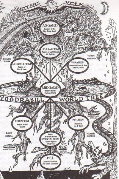 Yggdrasil: Tree of Life Norse Mythology, World Tree, Different Symbols, Norse Myth, Norse Pagan, Old Norse, Norse Vikings, The Tree Of Life, Gods And Goddesses