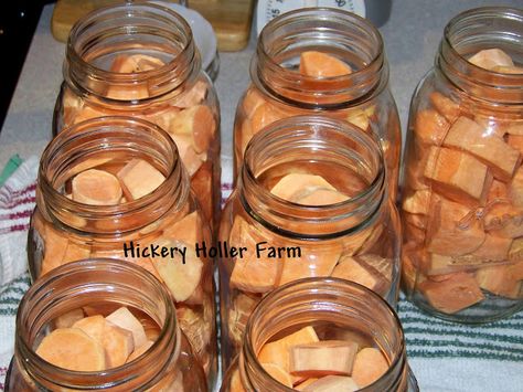 Canning Sweet Potatoes Can Sweet Potatoes, Garlic Croutons, Pressure Canning Recipes, Canning Sweet Potatoes, Canning 101, Butternut Soup, Freezing Food, Preserving Foods, Chicken Bone Broth