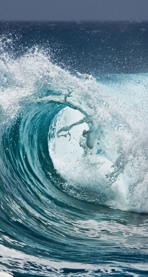 ocean waves curling over in the sea The Ocean, Water, Ocean Wave, In The Ocean, Surfboard, A Man