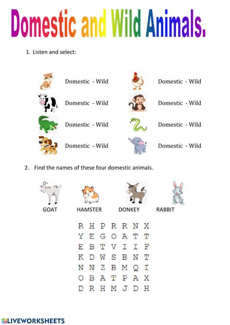 Domestic and wild animals - Ficha interactiva Domestic Animals Activities, Domestic And Wild Animals Worksheets, Domestic And Wild Animals, Number System Worksheets, Worksheets For Class 1, Math Coloring Worksheets, Animal Worksheets, English Phonics, 2nd Grade Worksheets