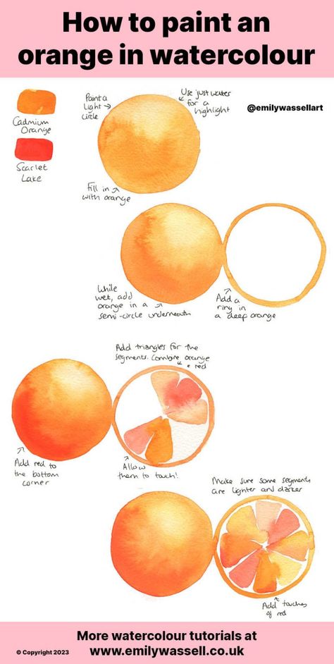 Watercolor Pencil Art, Life Drawing Reference, Acrylic Tutorials, Step By Step Watercolor, Orange Painting, Watercolor Tutorials, Watercolor Paintings For Beginners, Watercolor Pencil, Watercolor Fruit