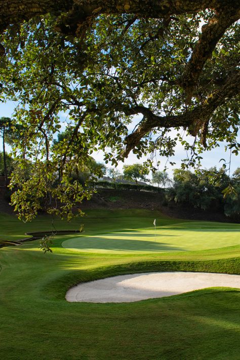 Golf course with sand bunker shaded by tree. Private Golf Course, Golf Swag, Marbella Club, Dream Villa, Golf Images, Golf Hotel, Beachfront Villa, Hotel And Resort, Golf Vacations