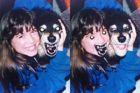 A girl and a dog: | The 35 Most Disturbing Face Swaps Of All Time Face Swap Fails, Comebacks Humor, Funny Face Swap, Funny Animal Faces, Image Meme, Funny Comebacks, Face Swaps, 웃긴 사진, Memes Humor