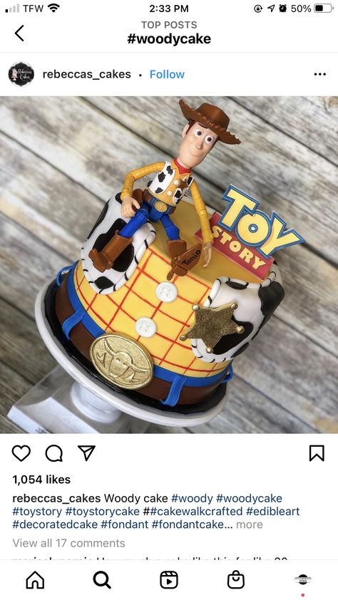 Birthday Hacks, Paris Themed Cakes, Barney Birthday, Toy Story Birthday Cake, Woody Birthday, Toy Story Party Decorations, Toy Story Theme, Toy Story Cakes, Second Birthday Ideas