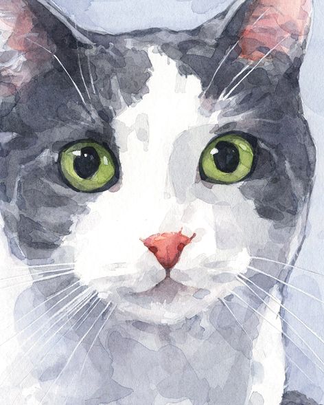 Custom Cat Portrait, Cat Artwork, 수채화 그림, Cat Portrait, Watercolor Cat, Arte Animal, Watercolor Inspiration, Custom Watercolor, Water Painting