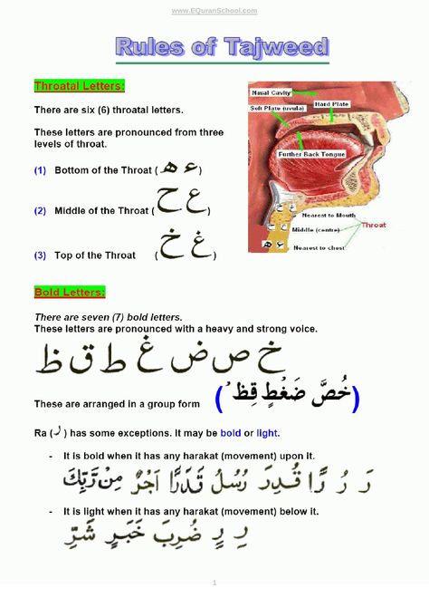 Tajweed Rules -:- Learn Quran with Basic Rules of Tajweed - Learn Bold Letters, Madda Letters, Ghunna Rules, Tanween, Muttasil, Munfasil, Ikhfa, Idgham, Izhar, Iqlab and Rules of Meem  Learn free Quran. Www.Lasaniquran.com Verses For Teachers, Quran Memorization, How To Read Quran, Tafsir Al Quran, Tajweed Rules, Tajweed Quran, Learn Arabic Online, Rules For Kids, Learn Arabic Alphabet