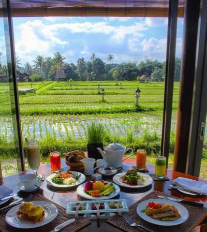 breakfast images 2 Breakfast Images, Breakfast On The Beach, Breakfast Around The World, Farm Cafe, Hotel Secrets, Events Place, Hotel Breakfast, Rice Field, Coffee Shops Interior