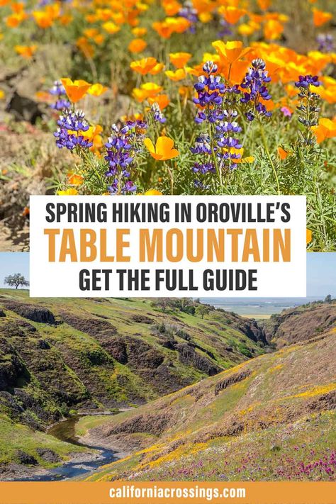 spring hiking in Oroville's table mountain get the full guide Oroville California, Northern California Beaches, Northern California Travel, Things To Do In California, Landscape Pics, California Road Trip Itinerary, California Hiking, California Getaways, California Attractions