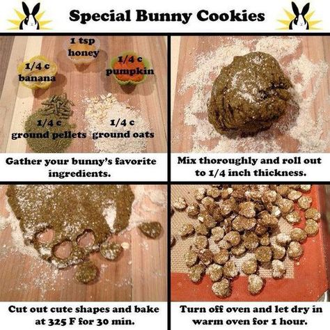 Bunny treats Homemade Rabbit Treats, Tapsi Hapsi, Rabbit Things, Diy Bunny Toys, Pet Rabbit Care, Rabbit Diet, Rabbit Treats, Bunny Room, Pet Bunny Rabbits