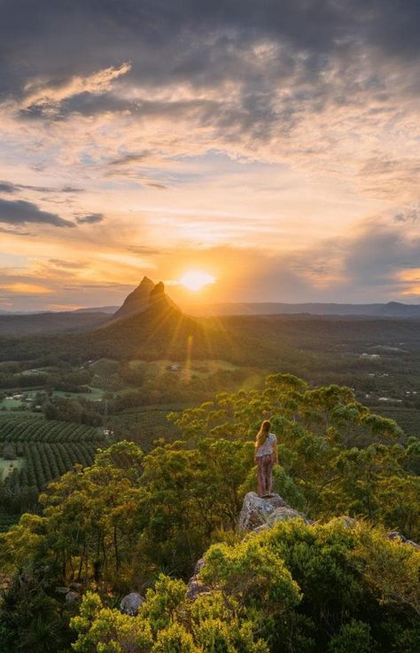 Glasshouse Mountains, Australian Wildlife, Pretty Beach, The Blue Mountains, Wildlife Sanctuary, Island Resort, Sunshine State, Sunshine Coast, Glass House