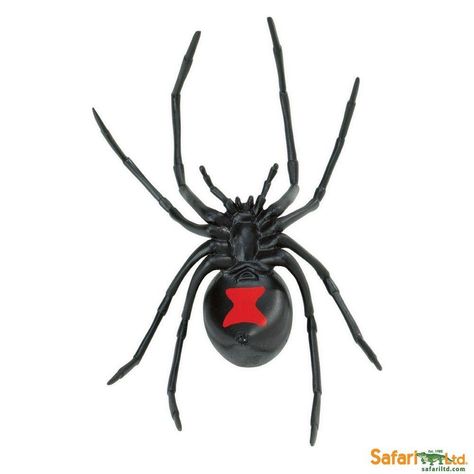 Black Widow Spiders Wallpapers - Wallpaper Cave Spider Toy, Wolf Spider, Widow Spider, Black Widow Spider, Purple Owl, Iphone Black, Incredible Creatures, Flower Art Images, Dollar Bill