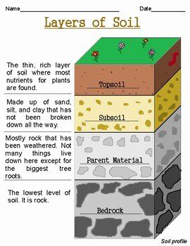 Layers Of soil Worksheet Unique soil Quiz by Alison Crawford – Chessmuseum Template Library Layers Of Soil Anchor Chart, Soil Layers Worksheet, Layers Of Soil Activity For Kids, Soil Worksheet, Layers Of Soil, Rose Outline Drawing, Grade 3 Science, Soil Science, Earth Layers