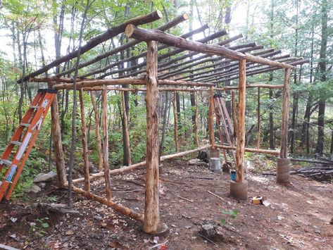 Log Wood Shed, Log Shed Ideas, Wood Shed Ideas, Wooden Privacy Screen, Log Structures, Log Shed, Horse Shelter, Firewood Shed, Outdoor Shelters