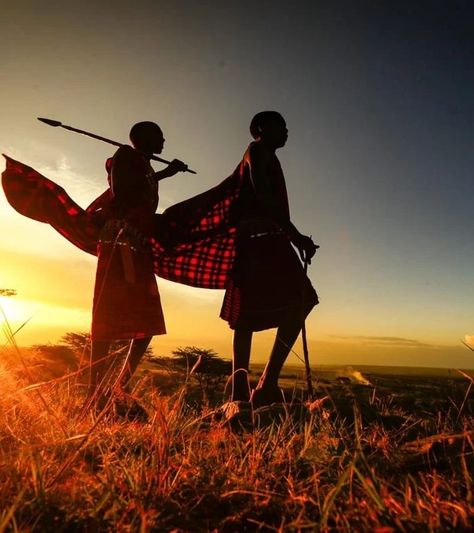 Afro Futuristic, Maasai Culture, Maasai Mara Kenya, Masai Tribe, Unique Glamping, Kenyan Flag, Herding Cattle, Maasai People, Black Roses Wallpaper