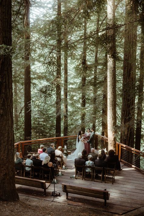 A romantic elopement wedding at the Redwood Deck in Portland Oregon, with a first dance under a waterfall and a candlelit dinner. Wedding In Redwood Forest, Elope In The Woods, Forest Wedding Venues Oregon, Oregon Winter Wedding, Elope Vs Wedding, Capella By The Sea Oregon, Pnw Elopement Locations, Washington Elopement Locations, Forest Micro Wedding