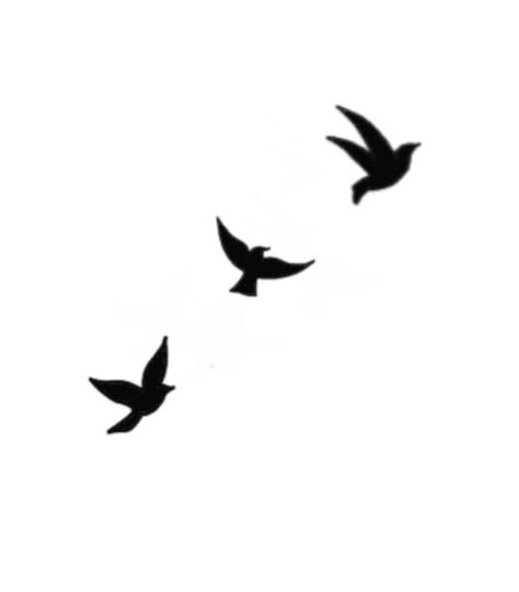 Small Tattoos For Men Birds, 3 Black Birds Tattoo, Tattoo Doves Flying, Birds Flying Silhouette Tattoo, Dove Birds Tattoo, 3 Doves Flying Tattoo, Mini Dove Tattoo, Bird Tattoo Silhouette, Bird Simple Tattoo