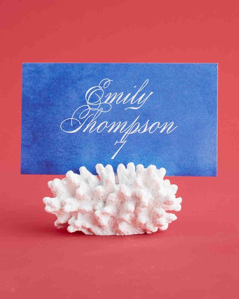 Wedding Place Cards Ideas, Coastal Place Cards, Beach Wedding Table Name Cards, Shell Name Cards Wedding, Seashell Place Cards Wedding, Place Cards Ideas, Wedding Place Card Ideas, Creative Seating Cards Beach, Creative Place Cards Wedding